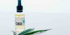 HowToCaputureAndGenerateLeadsFromYourWebsite Power Cannabis Websites cannabis websites
