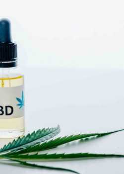 cannabis websites