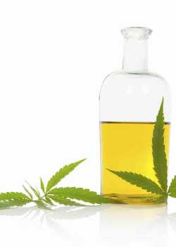  cannabis websites
