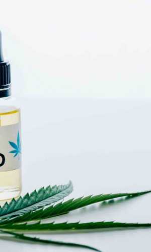 Contact Us Power Cannabis Websites cannabis websites