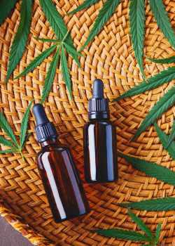  cannabis websites